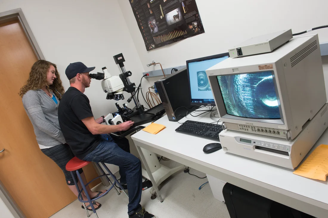 Two students use a microscope in a forensic science lab. A black and white image from their microscope is shown on a computer monitor next to them.