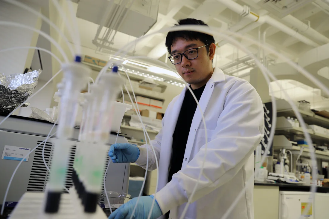 Student working in a lab.